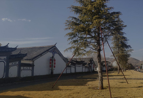 Dali geothermal country hotel